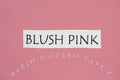 Blush Pink Kona Cotton Solid Fabric from Robert Kaufman, K001-1036