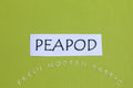 Peapod Kona Cotton Solid Fabric from Robert , K001-414