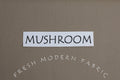 Mushroom Kona Cotton Solid Fabric from Robert Kaufman, K001-1239