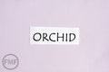 Orchid Kona Cotton Solid Fabric from Robert Kaufman, K001-1266
