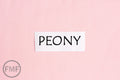Peony Kona Cotton Solid Fabric from Robert Kaufman, K001-110