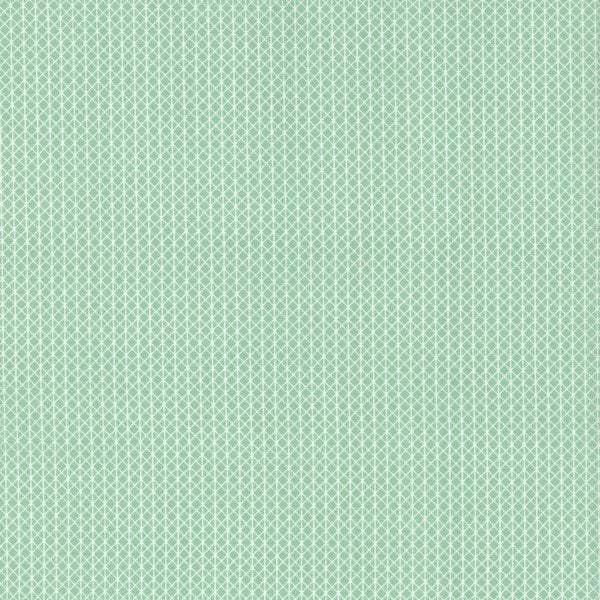 Netorious in Jam Jar, Cotton+Steel Basics, Alexia Abegg, RJR Fabrics, 100% Cotton Fabric, 5000-003