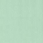 Netorious in Jam Jar, Cotton+Steel Basics, Alexia Abegg, RJR Fabrics, 100% Cotton Fabric, 5000-003