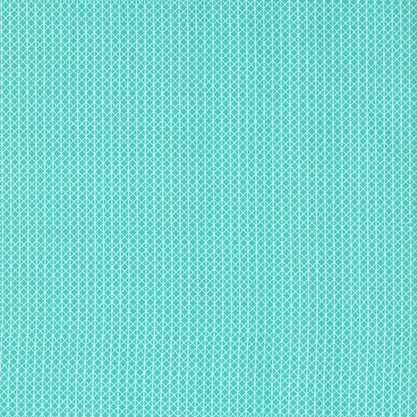 Netorious in Toy Boat, Cotton+Steel Basics, Alexia Abegg, RJR Fabrics, 100% Cotton Fabric, 5000-004