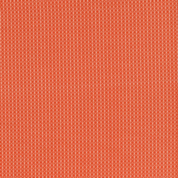 Netorious in Roadster, Cotton+Steel Basics, Alexia Abegg, RJR Fabrics, 100% Cotton Fabric, 5000-005