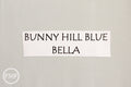 Bunny Hill Blue Bella Cotton Solid Fabric from Moda, 9900 176