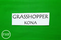 Grasshopper Kona Cotton Solid Fabric from Robert Kaufman, K001-475