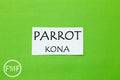Parrot Kona Cotton Solid Fabric from Robert Kaufman, K001-498