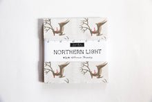 Load image into Gallery viewer, Northern Light Charm Pack, Annie Brady, 16730PP
